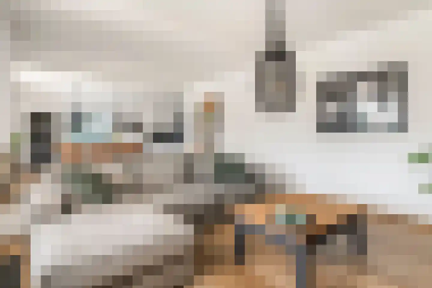 Wulpstraat 20 Maurik thumbnail 8