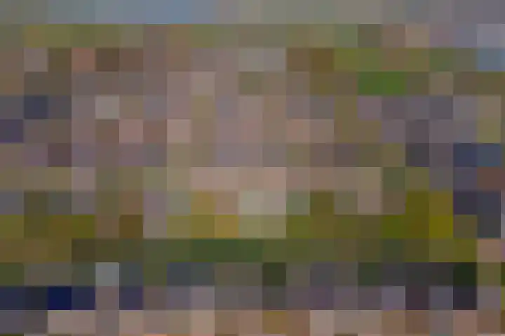Wulpstraat 20 Maurik thumbnail 80