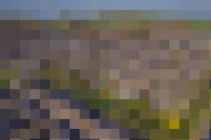 Wulpstraat 20 Maurik thumbnail 81