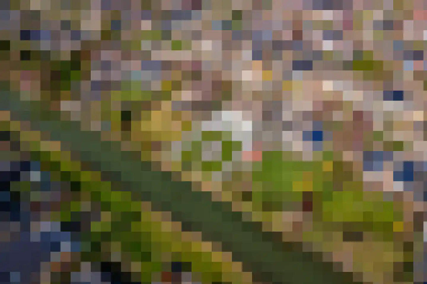 Wulpstraat 20 Maurik thumbnail 83