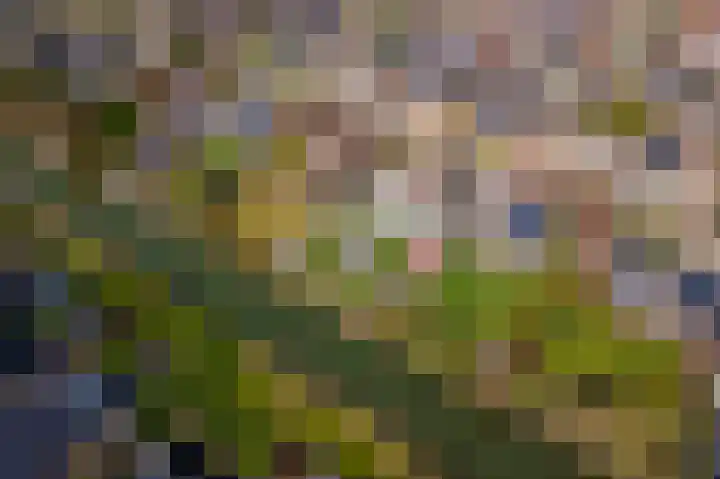 Wulpstraat 20 Maurik thumbnail 83