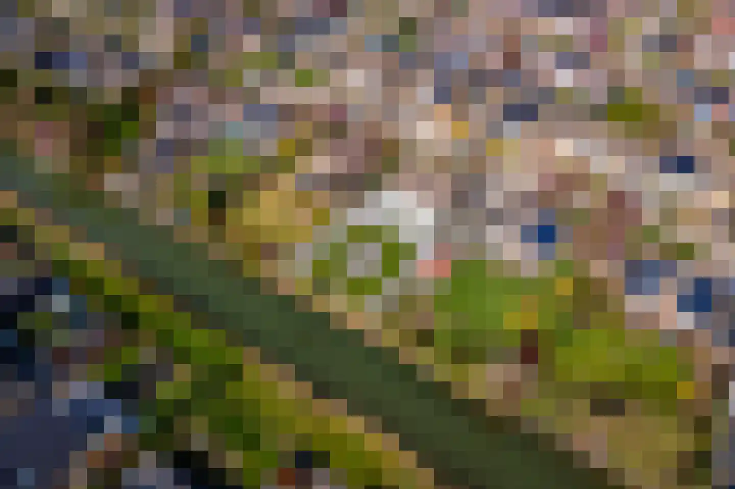 Wulpstraat 20 Maurik thumbnail 83