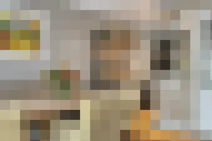 Wulpstraat 22 Tiel thumbnail 10