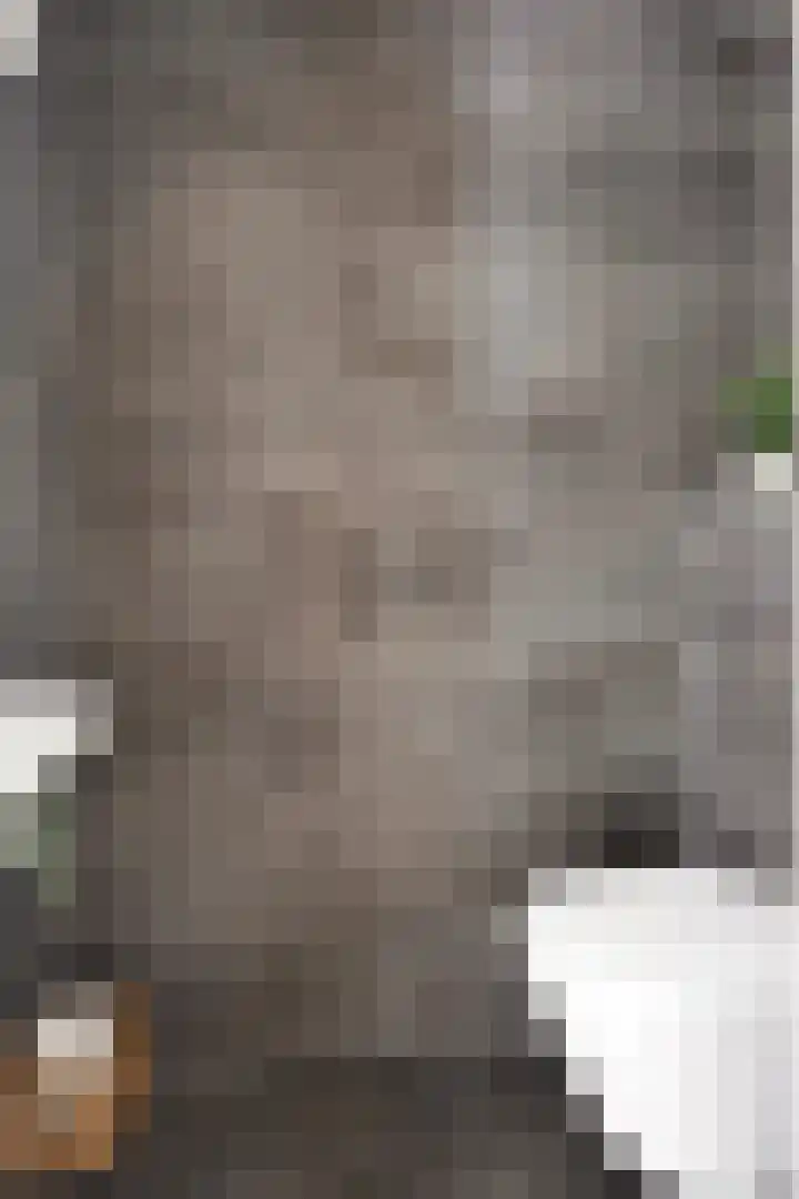 Wulpstraat 22 Tiel thumbnail 15