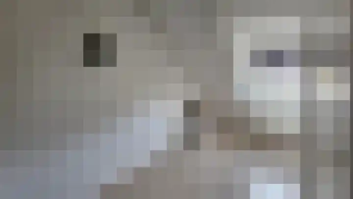 Wulpstraat 22 Tiel thumbnail 26