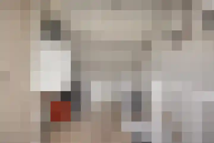 Wulpstraat 22 Tiel thumbnail 28