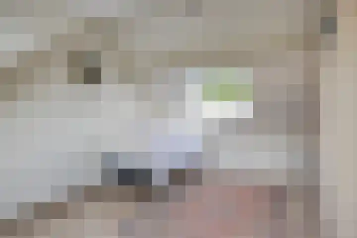 Wulpstraat 22 Tiel thumbnail 31