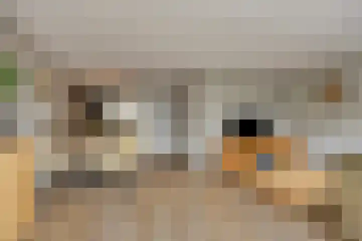 Wulpstraat 22 Tiel thumbnail 9