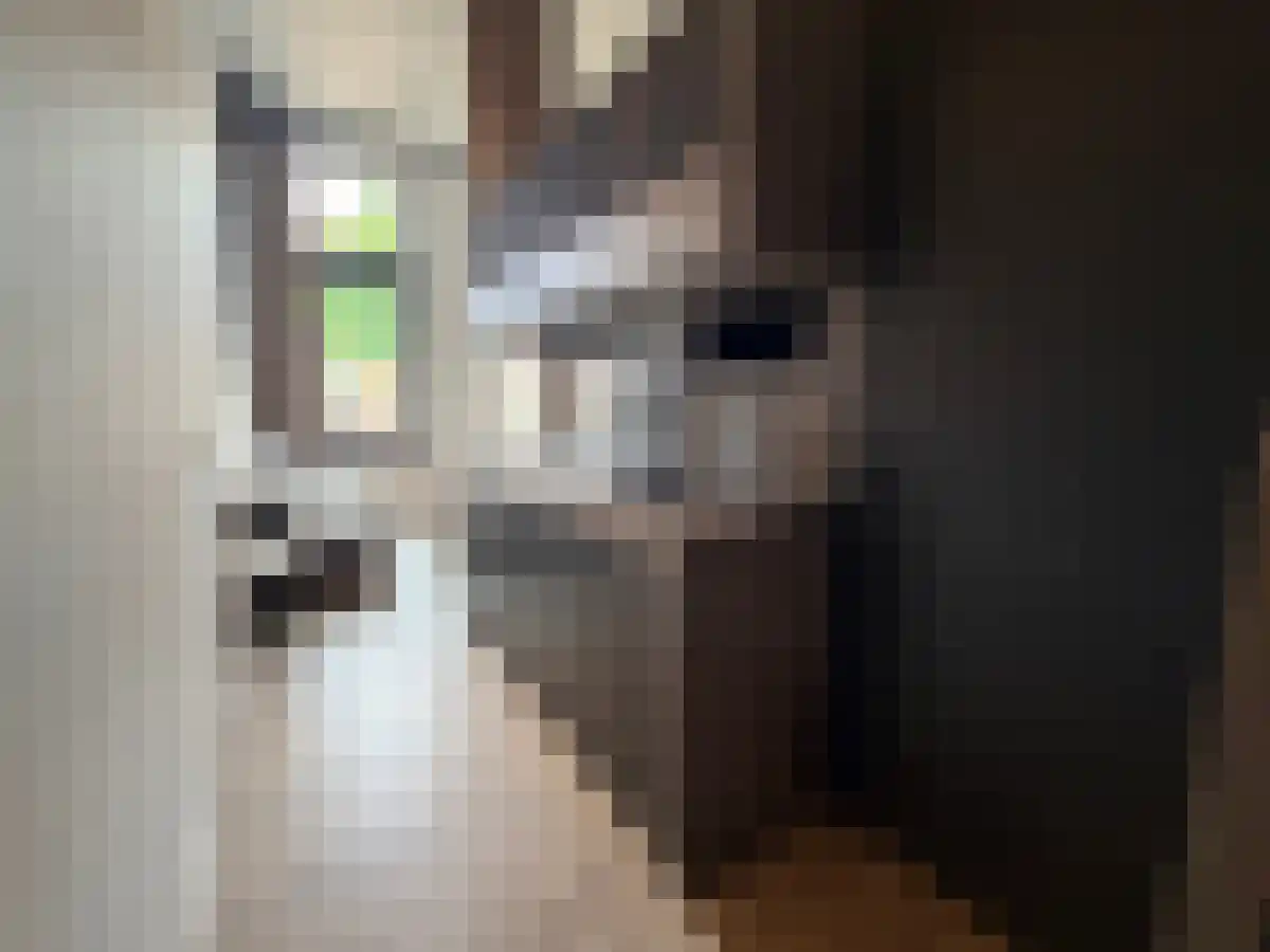Wulpstraat 59 Utrecht thumbnail 4
