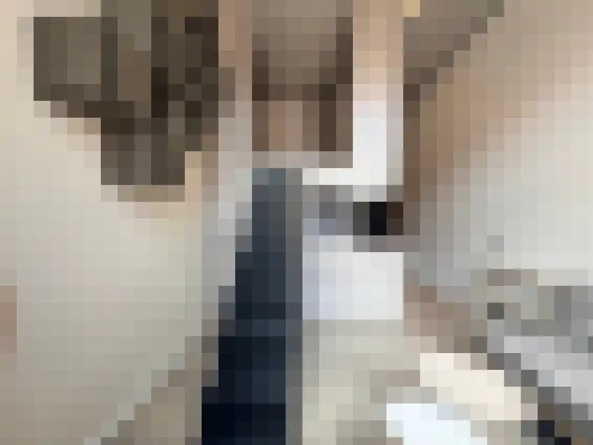 Wulpstraat 59 Utrecht thumbnail 5