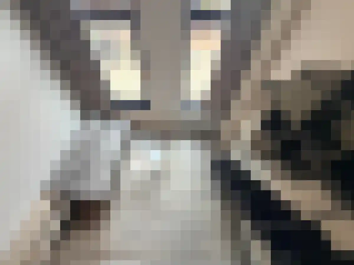 Wulpstraat 59 Utrecht thumbnail 6