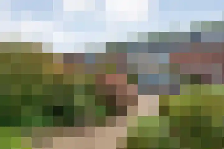 Wulpstraat 6 Hardenberg thumbnail 10