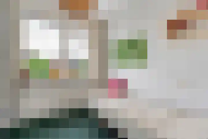 Wulpstraat 6 Hardenberg thumbnail 27