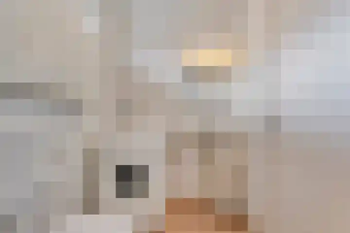 Wulpstraat 6 Hardenberg thumbnail 30