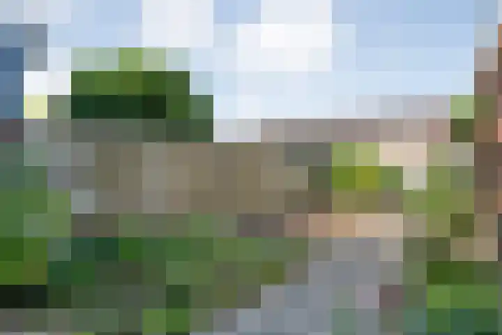 Wulpstraat 6 Hardenberg thumbnail 34