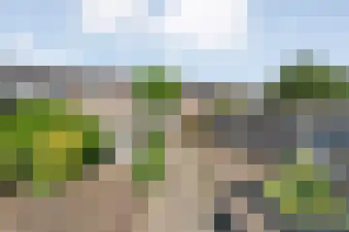 Wulpstraat 6 Hardenberg thumbnail 35