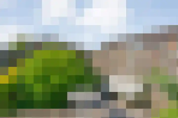 Wulpstraat 6 Hardenberg thumbnail 37