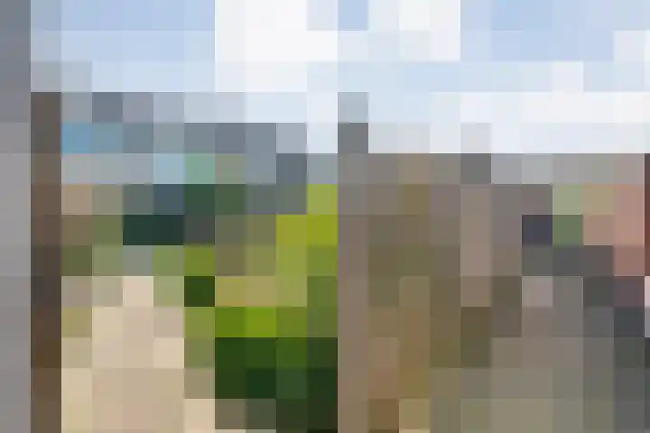 Wulpstraat 6 Hardenberg thumbnail 38
