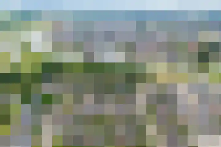 Wulpstraat 6 Hardenberg thumbnail 39