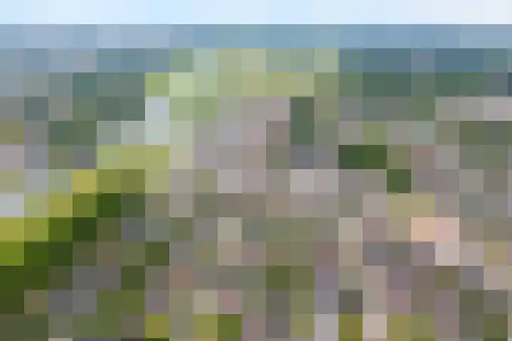 Wulpstraat 6 Hardenberg thumbnail 41