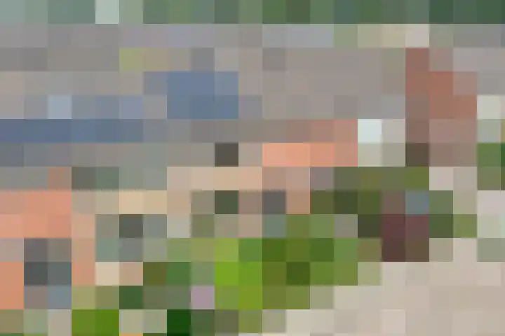 Wulpstraat 6 Hardenberg thumbnail 5