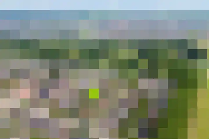 Wulpstraat 6 Hardenberg thumbnail 6