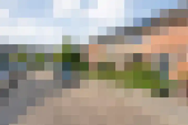 Wulpstraat 6 Hardenberg thumbnail 7