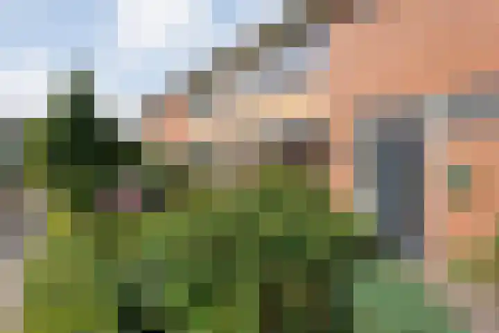 Wulpstraat 6 Hardenberg thumbnail 9