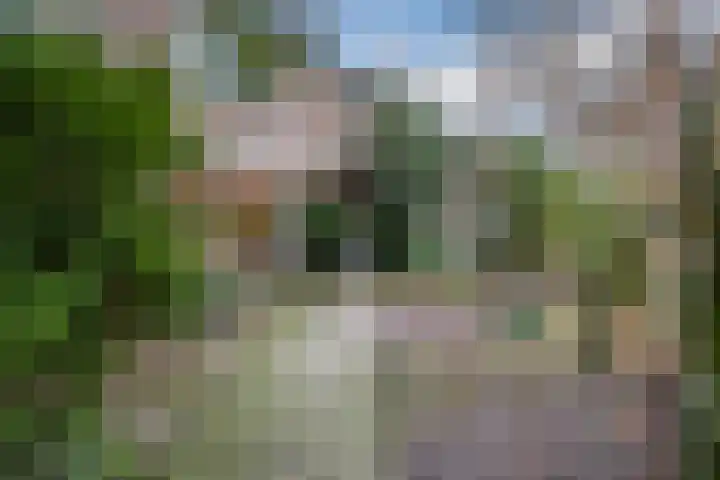 Wulpstraat 7 Amersfoort thumbnail 4