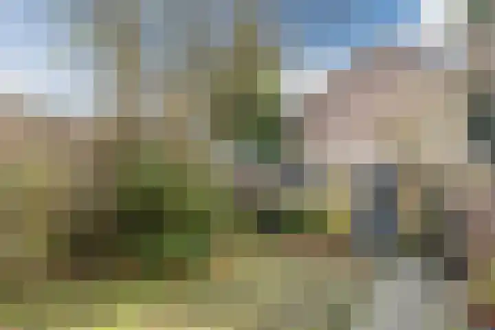 Wulpstraat 7 Amersfoort thumbnail 42
