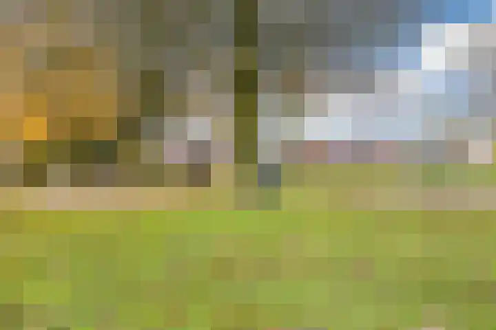 Wulpstraat 7 Amersfoort thumbnail 47