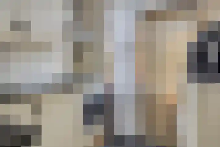 Wulpstraat 7 Krimpen aan den IJssel thumbnail 12