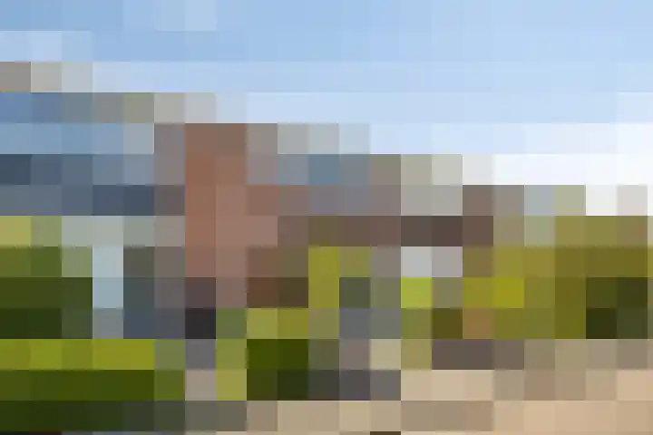 Wulpstraat 7 Krimpen aan den IJssel thumbnail 6