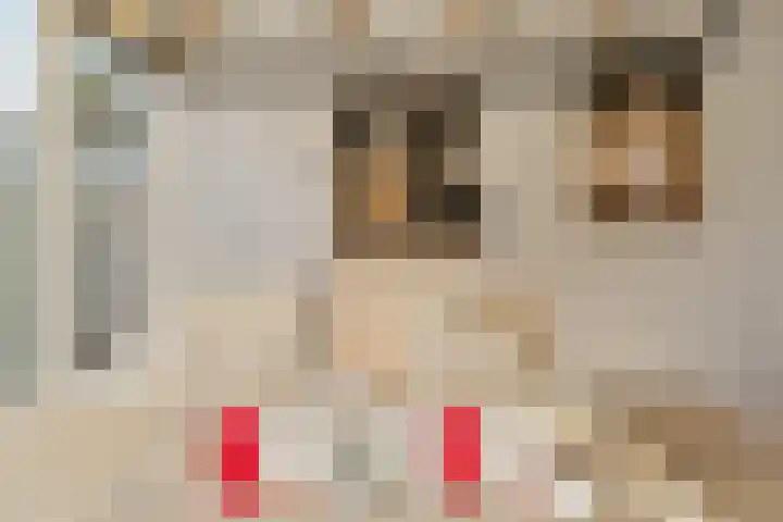 Wulpstraat 8 Krimpen aan den IJssel thumbnail 11