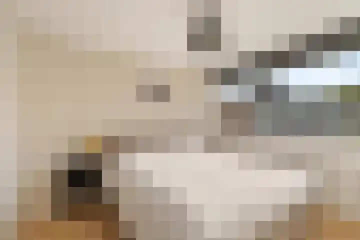 Wulpstraat 8 Krimpen aan den IJssel thumbnail 13