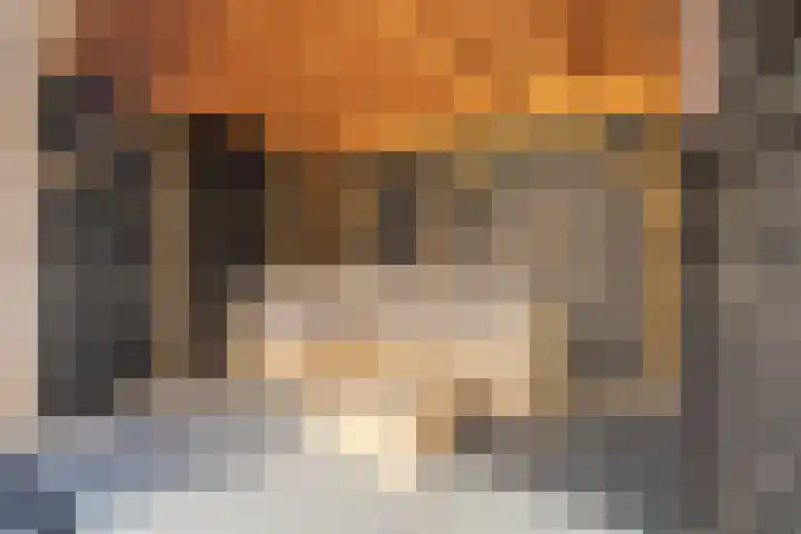 Wulpstraat 8 Krimpen aan den IJssel thumbnail 22