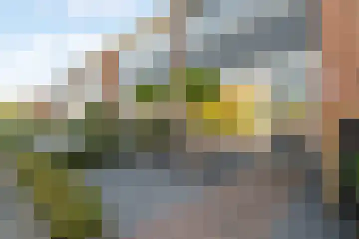 Wulpstraat 8 Krimpen aan den IJssel thumbnail 25