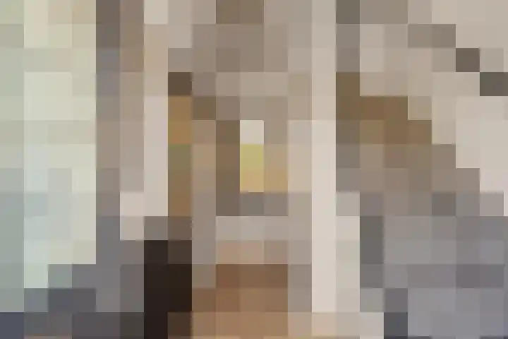 Wulpstraat 8 Krimpen aan den IJssel thumbnail 5