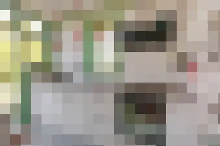 Wulverderlaan 5 Santpoort-Noord thumbnail 21
