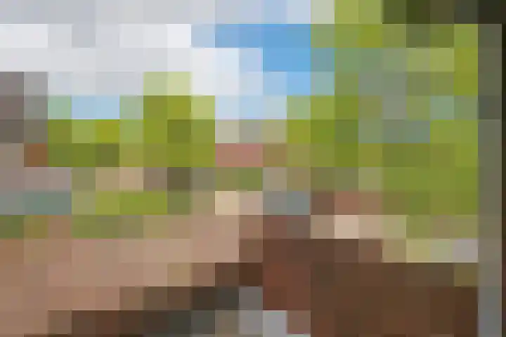 Wulverderlaan 5 Santpoort-Noord thumbnail 31