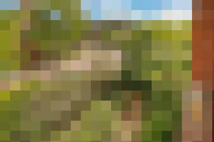 Wulverderlaan 5 Santpoort-Noord thumbnail 33