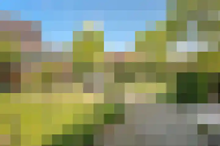 Wulverderlaan 5 Santpoort-Noord thumbnail 42