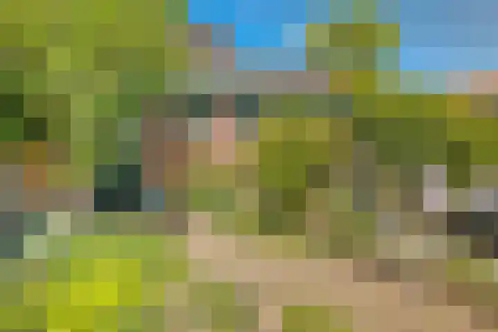 Wulverderlaan 5 Santpoort-Noord thumbnail 46