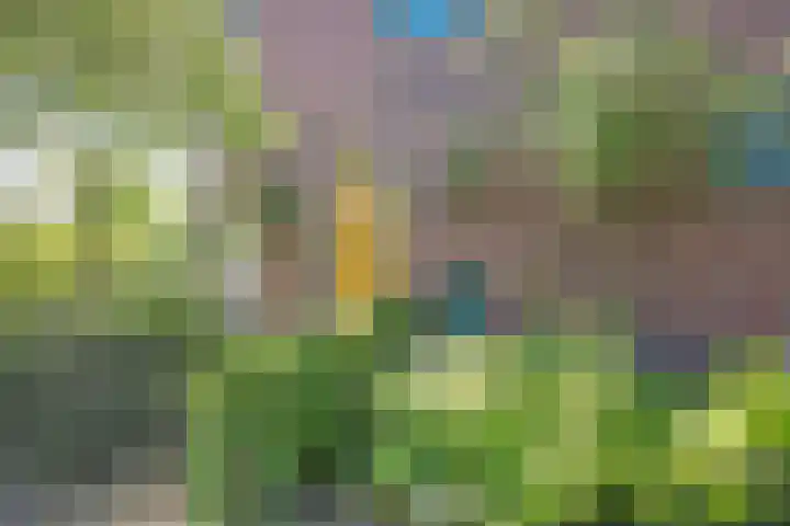 Wulverderlaan 5 Santpoort-Noord thumbnail 5