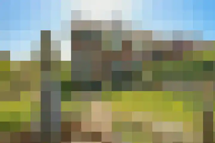 Wulverderlaan 5 Santpoort-Noord thumbnail 52