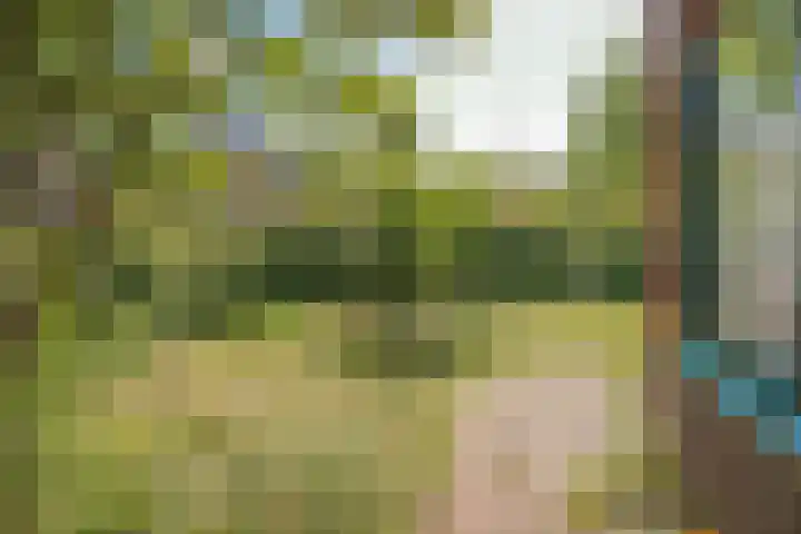 Wulverderlaan 5 Santpoort-Noord thumbnail 55