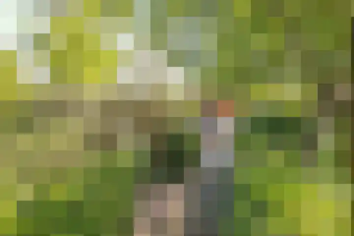 Wulverderlaan 5 Santpoort-Noord thumbnail 61
