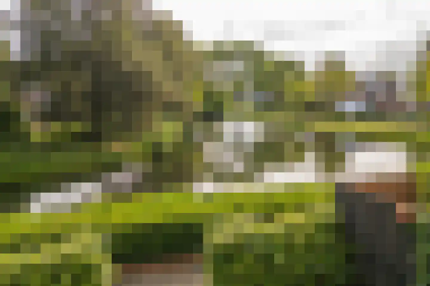 Wulverhorst 133 Montfoort thumbnail 39