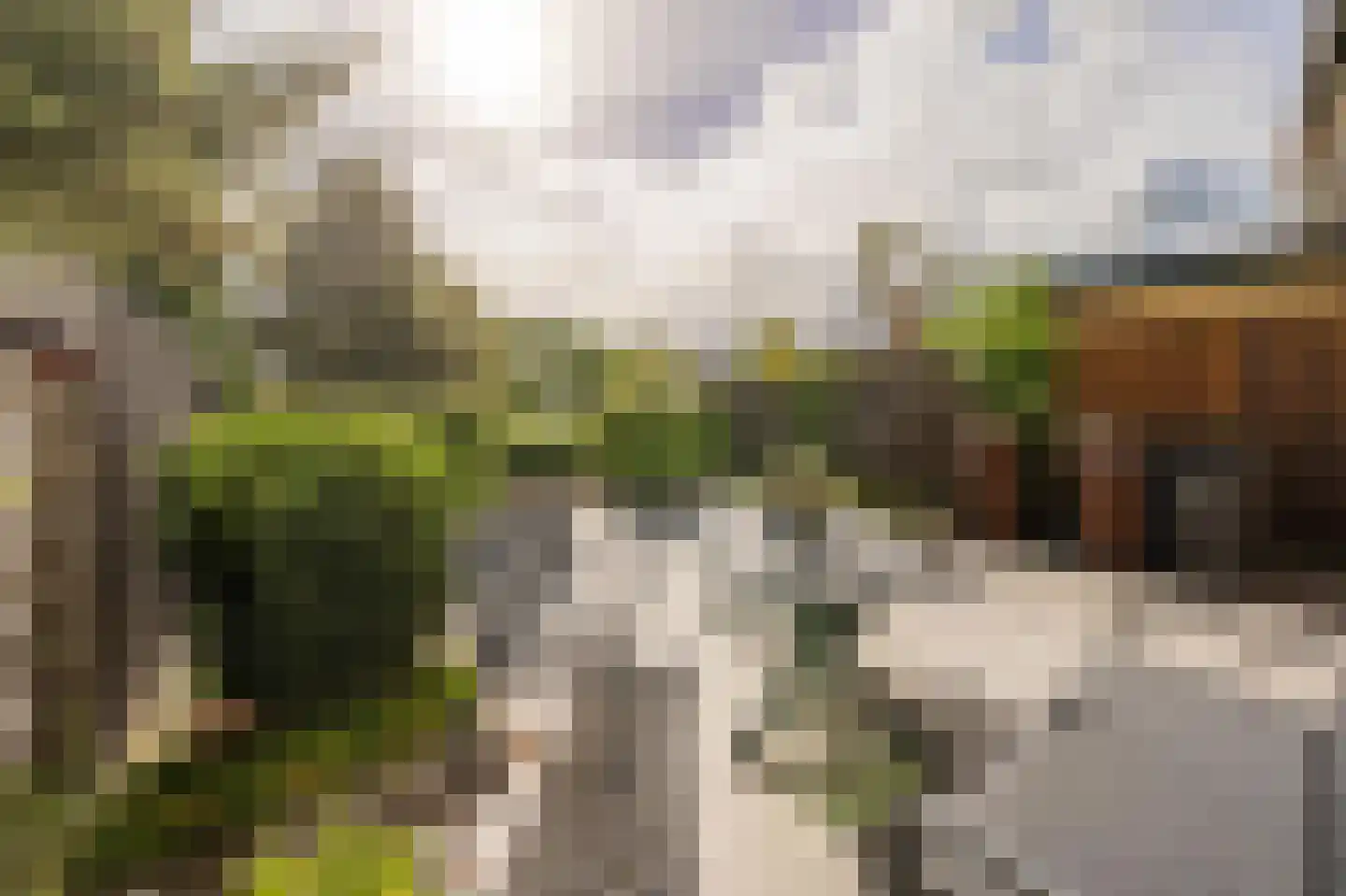 Wulverhorst 133 Montfoort thumbnail 4
