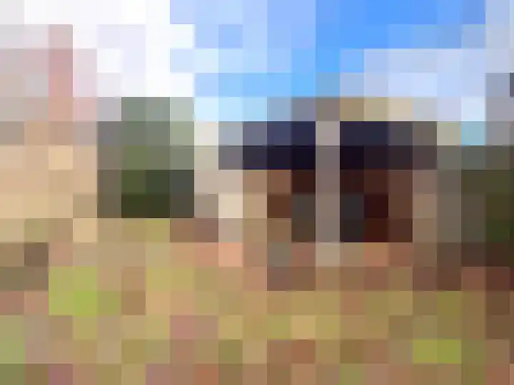 Wulverhorst 2 Montfoort thumbnail 31